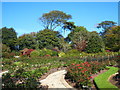 The rose garden at Penmount crematorium