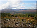 NH2610 : Ceannaeroc Forest from above Glen Moriston by Sarah McGuire