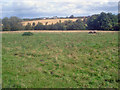 Farmland north of Packington