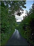 SO3474 : Bridgend Lane, Bucknell by Chris Gunns