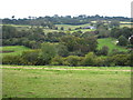 Fields in the Kenwyn valley