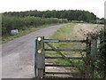 Bridleway to Ardenhill Spinney