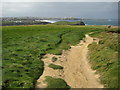 South West Coast Path at Whipsiderry