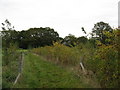 Three Castles Path near Moulsham Green