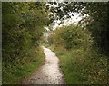 Norton Radstock Greenway