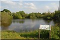 Rixton Clay Pits