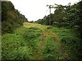 Meadow by Wellow Brook