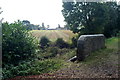 View Towards Hill Place Farm, Imberhorne