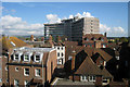 Ashford Roofscape