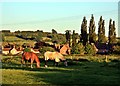 East Tytherton, Wiltshire