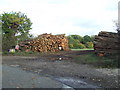 TL9262 : Log Piles by Keith Evans