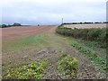 Countryside near Dewlish