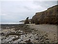 NZ4153 : Coastal scenery near Ryehope by Andrew Curtis