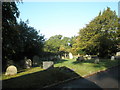 Shadows in the churchyard at St John the Baptist, Greatham