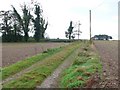 Farm track near Milton Abbas