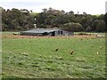 Poultry run at Oakwood Mill