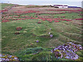 Ruin below Dun Chaich