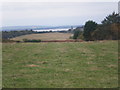 Pasture land south of Embo Street