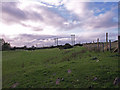 Grazing to the North-East of Kilmacolm