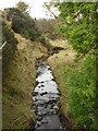 Tributary of the South Calder