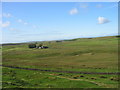 View towards Wealside Farm