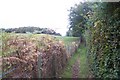 Footpath to Cold Arbour Road