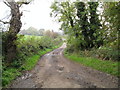 Drumnahoney Road near Whitecross