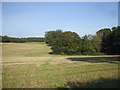 Mown field, Maes-y-Bryn Rd, Cardiff