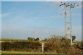 Power line heading north towards Stoneyford Barn, Marton