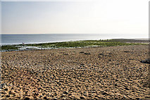 SY3693 : Charmouth Beach by Pierre Terre