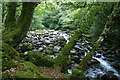 River Plym, Shaugh Bridge