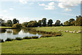 SP4959 : Fishing lake near Northfields Farm (3) by Andy F