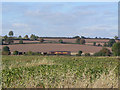 Freight across the countryside