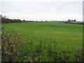 Carngraney Townland