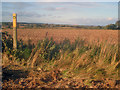 Path junction near Stordon Grange