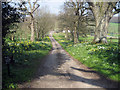 Track to Little Boarzell Farm