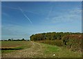 Farm track near Kneesall Lodge