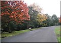 Path, Pittencrieff Park