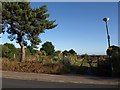 Entrance to allotments, Wallisdown