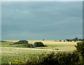 2009 : North from the A350 near Higher Pertwood