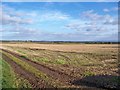 Cumbrian Stubble