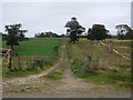 Track through the fields, Stocken Hall Farm, Stretton