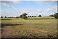 Footpath to Old Milverton