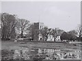 Falmer Church and pond