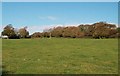 Autumn colours at Penmon