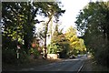 Bus stop, Kenilworth Road, Blackdown