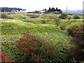 Clowsgill Quarry