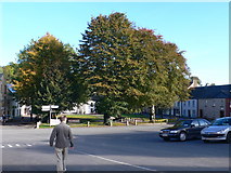 S6337 : Tree-lined village square in Inistioge by Eirian Evans