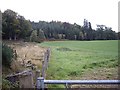 Field near Belladrum Lodge