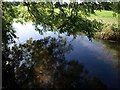 Bickerley Mill Stream